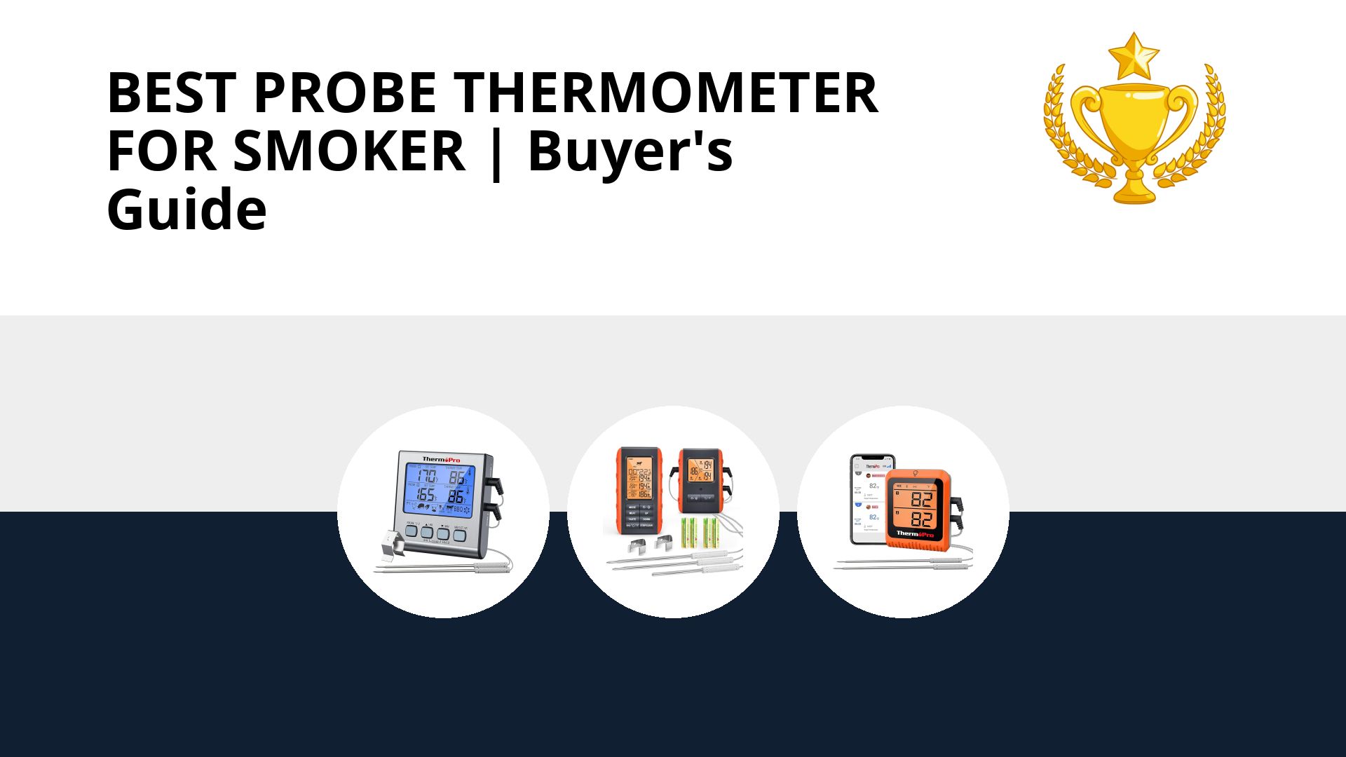Best Probe Thermometer For Smoker: image